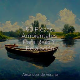 50 Piezas Ambientales Para Reiki Y Relajación - Meditación Guiada