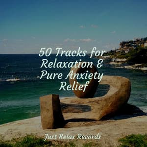 50 Tracks for Relaxation & Pure Anxiety Relief - Musica romantica instrumental