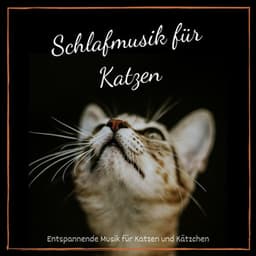 Schlafmusik für Katzen: Entspannende Musik für Katzen und Kätzchen - Schlafen Akademie