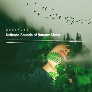Delicate Sounds of Nature: Sleep - Petalura