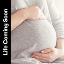 Life Coming Soon - Womb Sound