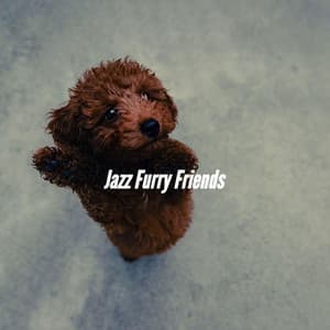 Jazz Furry Friends - Sleepy Dogs
