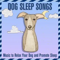 Dog Sleep Songs: Music to Relax Your Dog and Promote Sleep - Dog Music