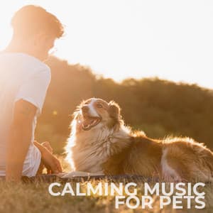 Calming Music For Pets - Sacral Chakra