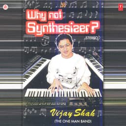 Why Not Synthesiser? - Viju Shah