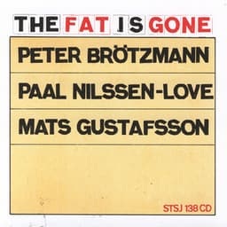 The Fat Is Gone - Peter Brötzmann