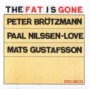 The Fat Is Gone - Peter Brötzmann