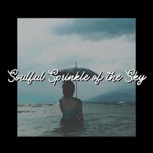 Soulful Sprinkle of the Sky - Natsound