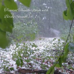 Tropical Thunderstorm with Birds Sound Vol. 1 - Sleep Doggie