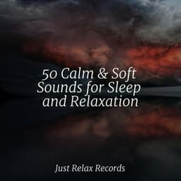50 Calm & Soft Sounds for Sleep and Relaxation - ASMR HD