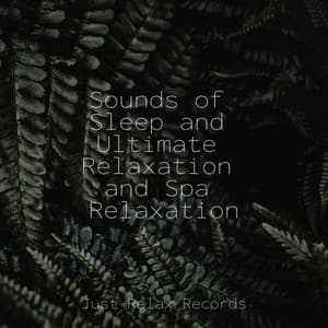 Sounds of Sleep and Ultimate Relaxation and Spa Relaxation - ASMR HD