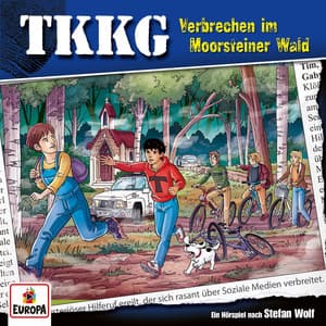 215/Verbrechen im Moorsteiner Wald - TKKG