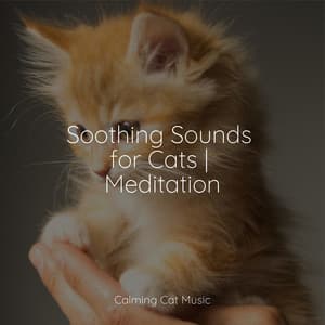 Soothing Sounds for Cats | Meditation - Music for Resting Cats