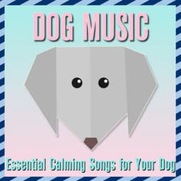 Dog Music: Essential Calming Songs for Your Dog - Relaxmydog