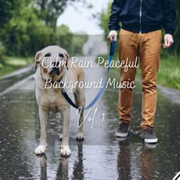 Calm Rain Peaceful Background Music Vol. 1 - Baby Sleep Music