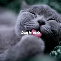 Comfy Cat Music - Smooth Jazz Deluxe
