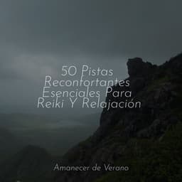 50 Pistas Reconfortantes Esenciales Para Reiki Y Relajación - Relajación
