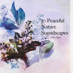 50 Peaceful Nature Soundscapes - Citrus Shock