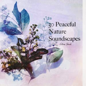 50 Peaceful Nature Soundscapes - Citrus Shock
