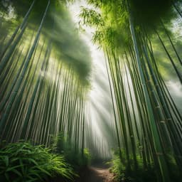 Hip Hop Serenity: Beats For Deep Relaxation And Calm Vibes - Lofi Chill Beats to Relax