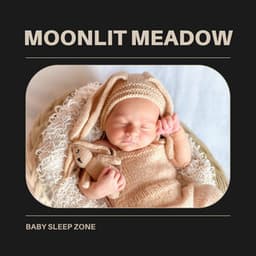 Moonlit Meadow: Instrumental Lullabies - Baby Sleep Zone