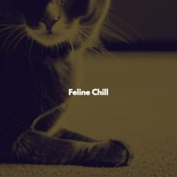 Feline Chill - Coffee Shop Piano