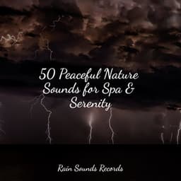 50 Peaceful Nature Sounds for Spa & Serenity - Cascada de Lluvia
