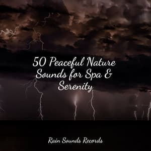 50 Peaceful Nature Sounds for Spa & Serenity - Cascada de Lluvia