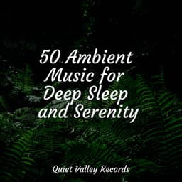 50 Ambient Music for Deep Sleep and Serenity - Sleep Rain
