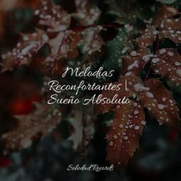 Melodías Reconfortantes | Sueño Absoluto - Sueño Profundo