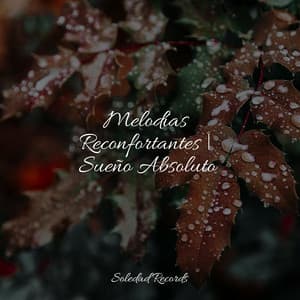 Melodías Reconfortantes | Sueño Absoluto - Sueño Profundo