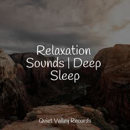 Relaxation Sounds | Deep Sleep - Rain Sounds