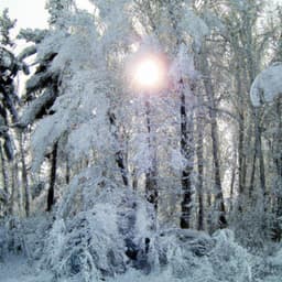 ! ! ! ! Winter's Tale - Música Relajante