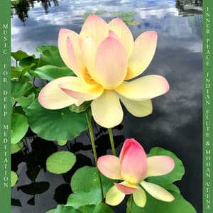 Inner Peace: Classical Indian Flute and Mohan Veena - Music for Deep Meditation