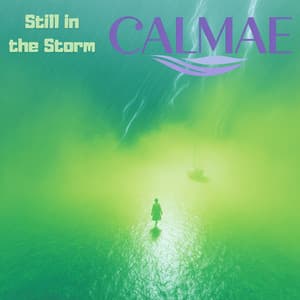 Still in the Storm - CALMAE