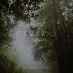 50 Spa & Sleep Sounds - Preschool Kids