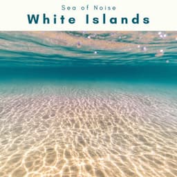 2022 White Islands - Sea of Noise
