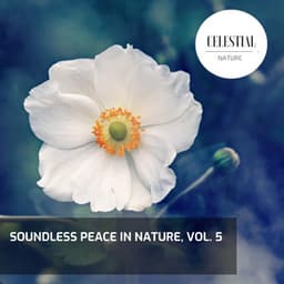 Soundless Peace in Nature, Vol. 5 - Nature Radiance