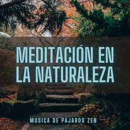 Meditación En La Naturaleza: Música De Pájaros Zen - Astro laboratorio binaural