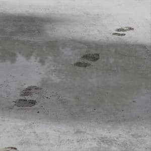 Walk to the Subway - Jazz Café Bar