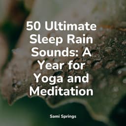 50 Ultimate Sleep Rain Sounds: A Year for Yoga and Meditation - Ambient Rain