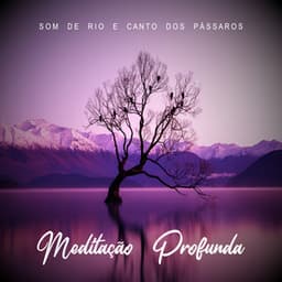 Meditação Profunda - Som de Rio e Canto dos Pássaros - Meditação Guiada