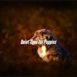 Quiet Time for Puppies - Relaxing Dog Music