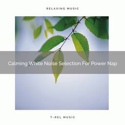 Calming White Noise Selection For Power Nap - Ocean Waves For Sleep