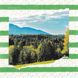 Backdrop for Sunny Sunday - Charming Jazz Quintet - Dinner Music Classics