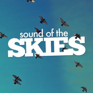 Sound of the Skies - Bird Sounds