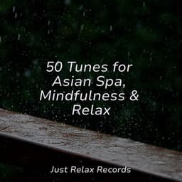 50 Tunes for Asian Spa, Mindfulness & Relax - Spa Relaxation & Spa