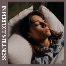 In Perfect Stillness - Bedtime Songs Collective