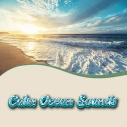 Ocean Nature Recordings Calming Ambient Ocean Sounds - Calm Ocean Sounds