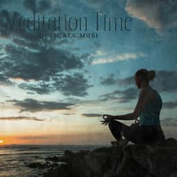 Meditation Time: Delicata Music, Reflection Time, Moment of Relaxation - Moonlight Shadow Universe